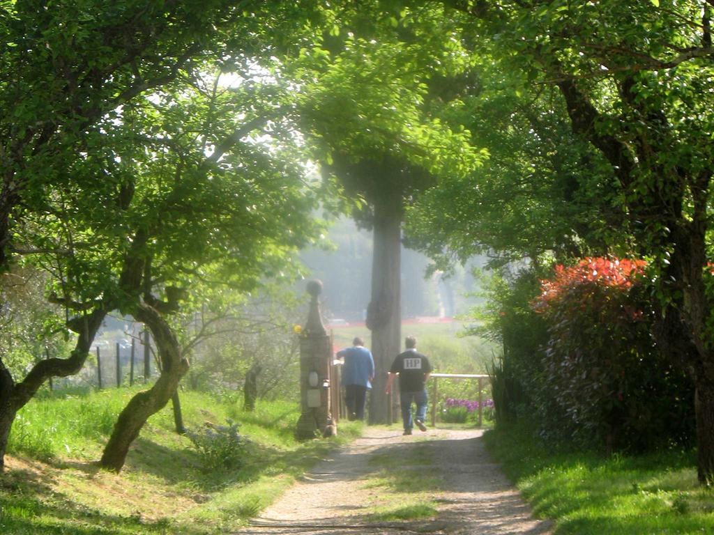 Agriturismo La Torretta Costalpino ภายนอก รูปภาพ