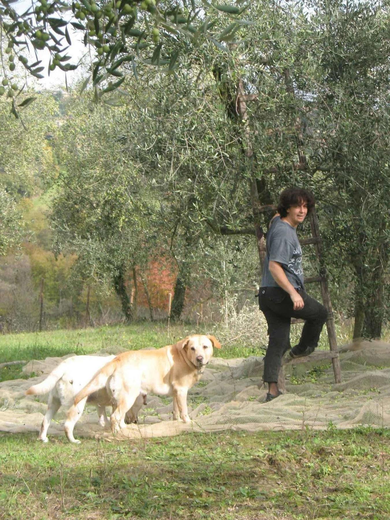 Agriturismo La Torretta Costalpino ภายนอก รูปภาพ