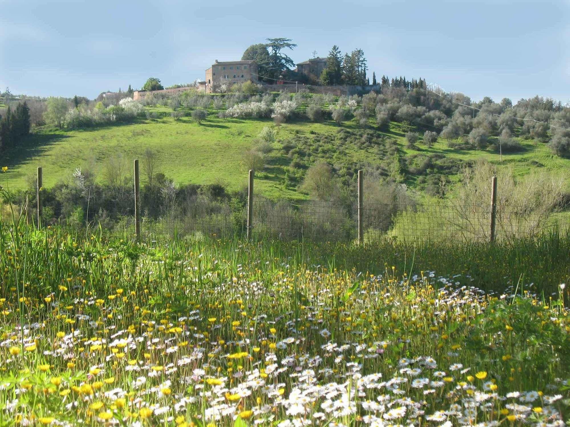 Agriturismo La Torretta Costalpino ภายนอก รูปภาพ