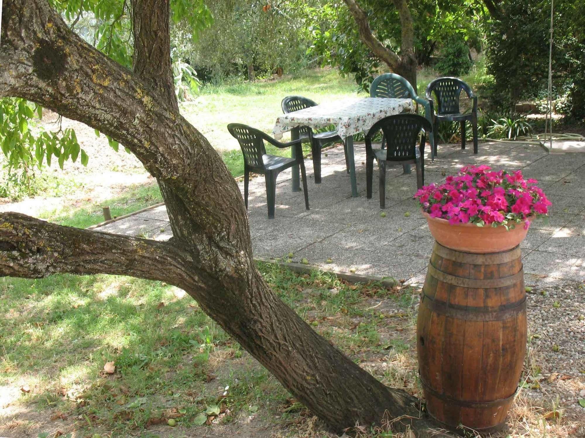 Agriturismo La Torretta Costalpino ภายนอก รูปภาพ