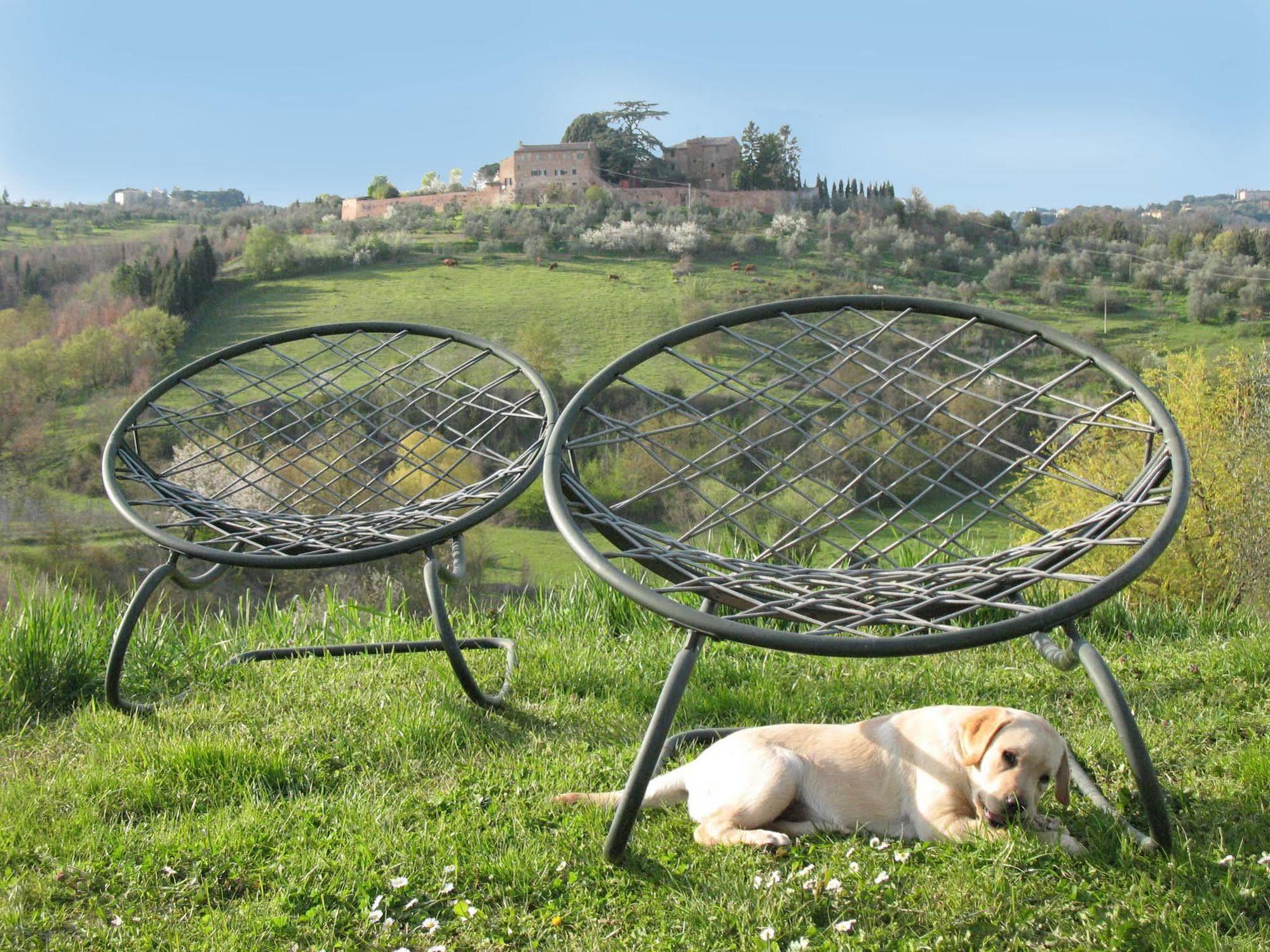 Agriturismo La Torretta Costalpino ภายนอก รูปภาพ